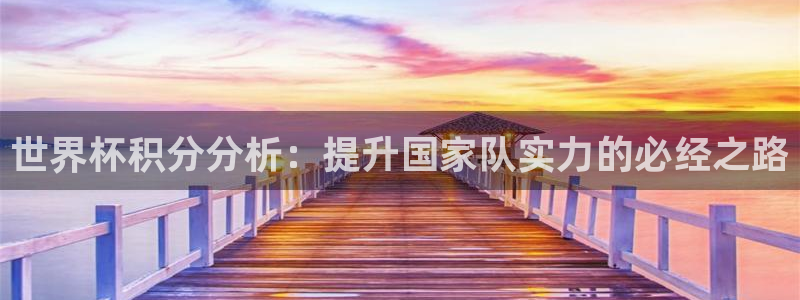 世界杯欧洲区世预赛赛程：世界杯积分分析：提升国家队实力的必经之路