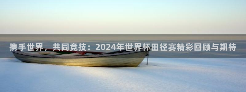 2026世界杯中国队：携手世界，共同竞技：2024年世界杯田径赛精彩回顾与期待