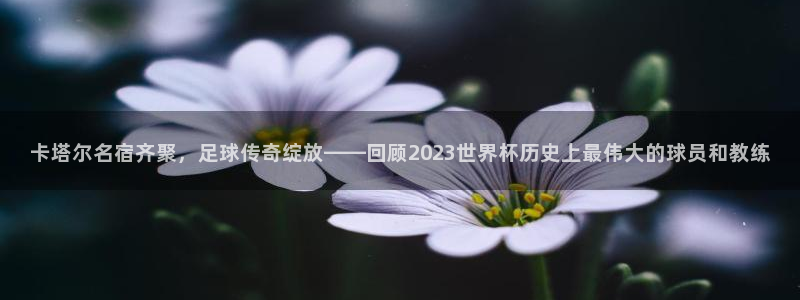 亚洲杯足球：卡塔尔名宿齐聚，足球传奇绽放——回顾2023世界杯历史上最伟大的球员和教练