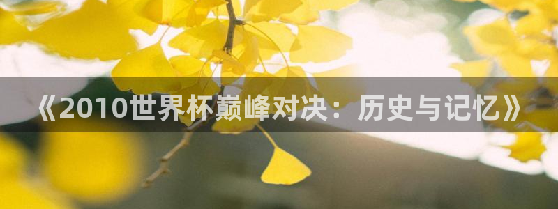世界杯预选赛赛程时间表：《2010世界杯巅峰对决：历史与记忆》