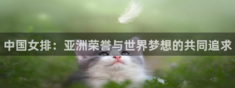 世界杯亚洲区预选赛：中国女排：亚洲荣誉与世界梦想的共同追求