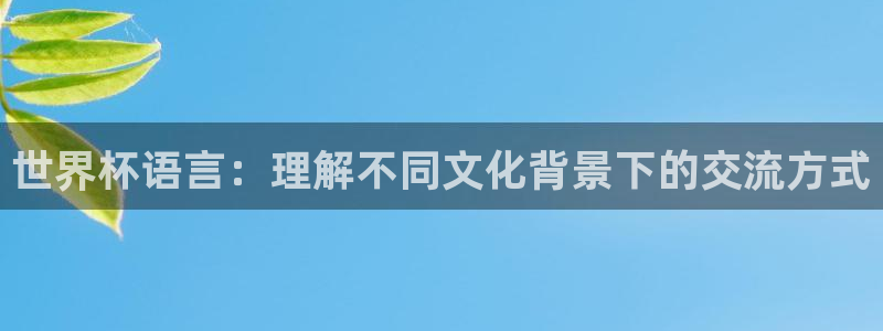 世界杯 直播：世界杯语言：理解不同文化背景下的交流方式
