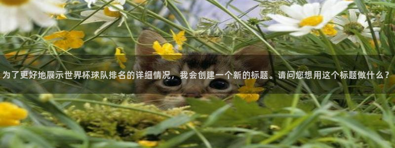 世界杯比赛赛程：为了更好地展示世界杯球队排名的详细情况，我会创建一个新的标题。请问您想用这个标题做什么？