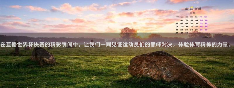 世界杯欧洲区世预赛赛程：在直播世界杯决赛的精彩瞬间中，让我们一同见证运动员们的巅峰对决，体验体育精神的力量。