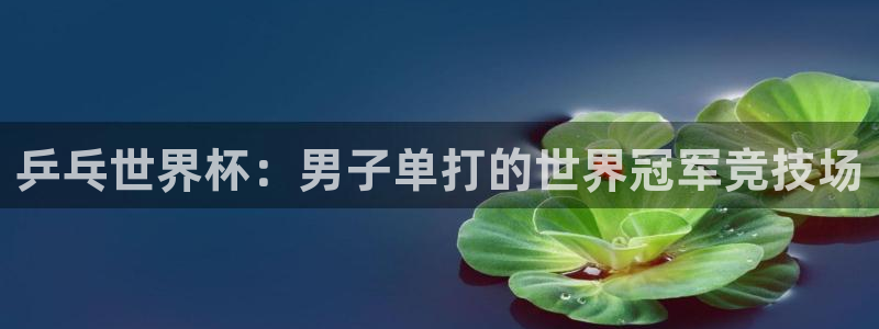世界杯视频：乒乓世界杯：男子单打的世界冠军竞技场
