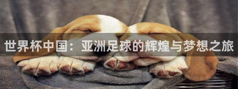 世界杯 赛程：世界杯中国：亚洲足球的辉煌与梦想之旅