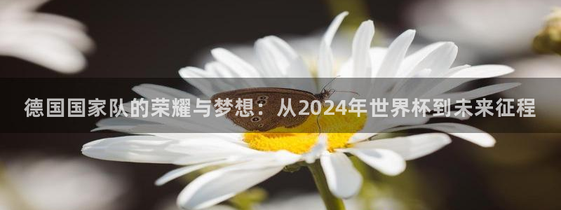 世界杯直播时间：德国国家队的荣耀与梦想：从2024年世界杯到未来征程