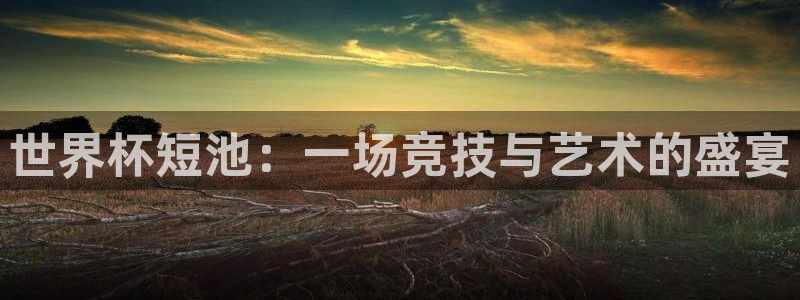 2026世界杯日期：世界杯短池：一场竞技与艺术的盛宴