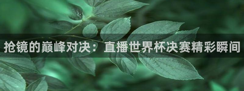 2026世界杯亚洲预选赛赛程：抢镜的巅峰对决：直播世界杯决赛精彩瞬间