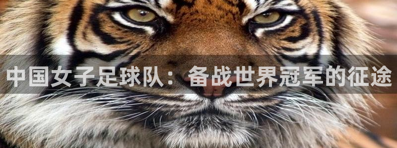 2026世界杯欧洲预选赛赛程表：中国女子足球队：备战世界冠军的征途