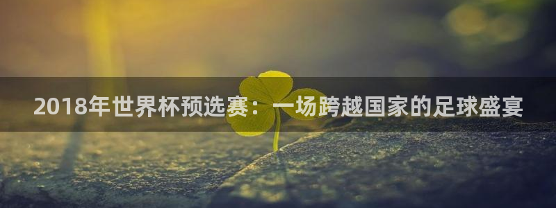 世界杯48支球队赛制：2018年世界杯预选赛：一场跨越国家的足球盛宴